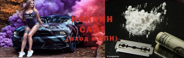 винт Алзамай