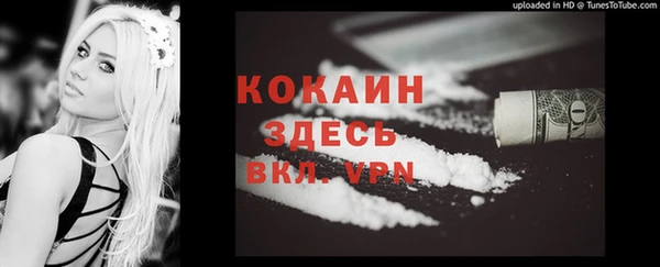 винт Алзамай
