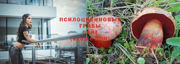 амф Алексеевка
