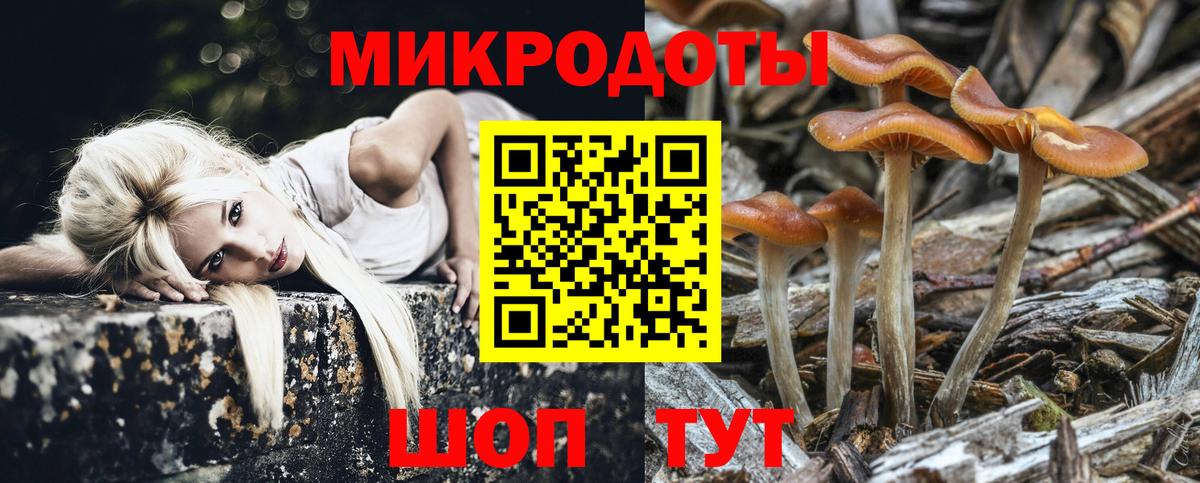 Сарапул  Псилоцибиновые грибы мицелий  Вход с VPN 